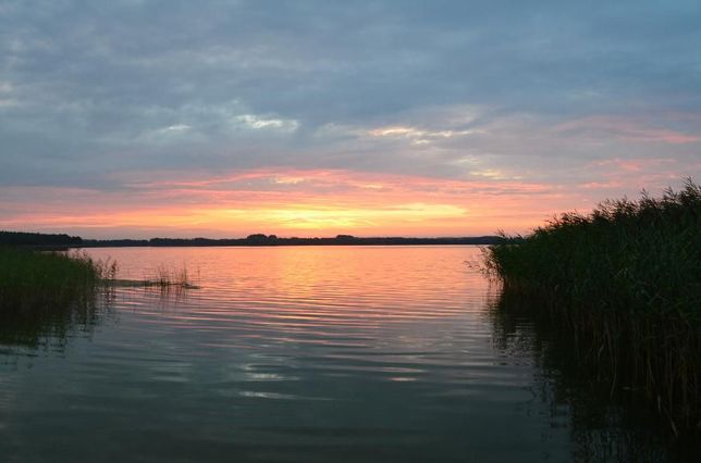 Domek Jagoda Mazury nad jeziorem Sasek Wielki nocleg urlop pokój