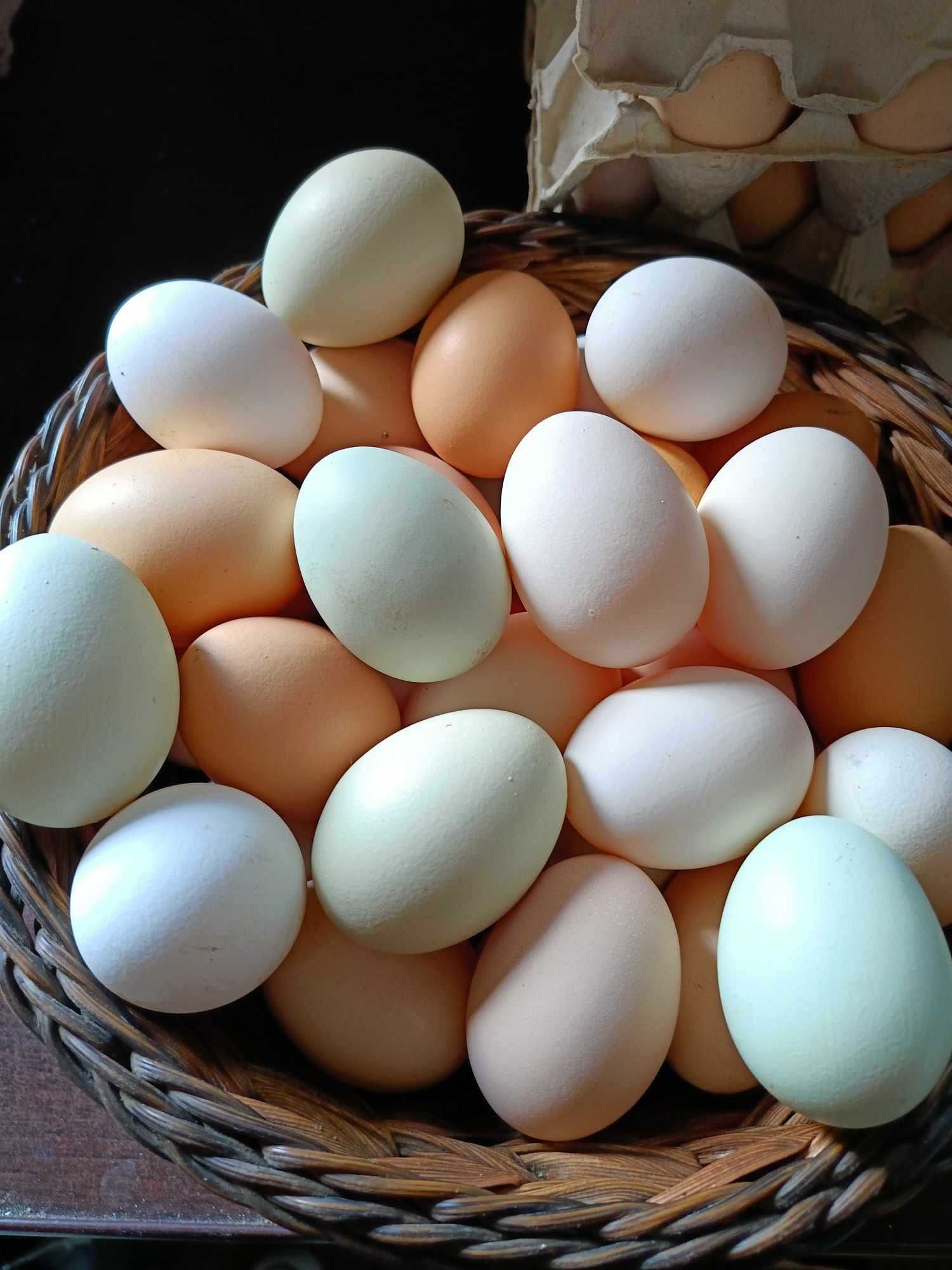 Swojskie jaja od wiejskich kur jajka