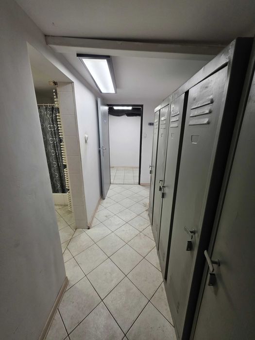 Lokal użytkowy do wynajęcia 252 m2