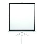 Ekran projekcyjny Eite Screens Tripod T99NWS1  jak nowy