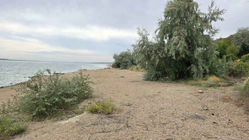 Алтестово  Участок 4 сотки с кадастровым / Возможна продажа соседнего