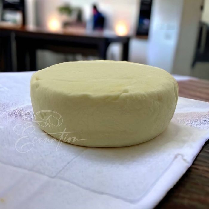 Свіжий сулугуні, бринза, моцарела ОПТ. БЕЗКОШТОВНА ДОСТАВКА
