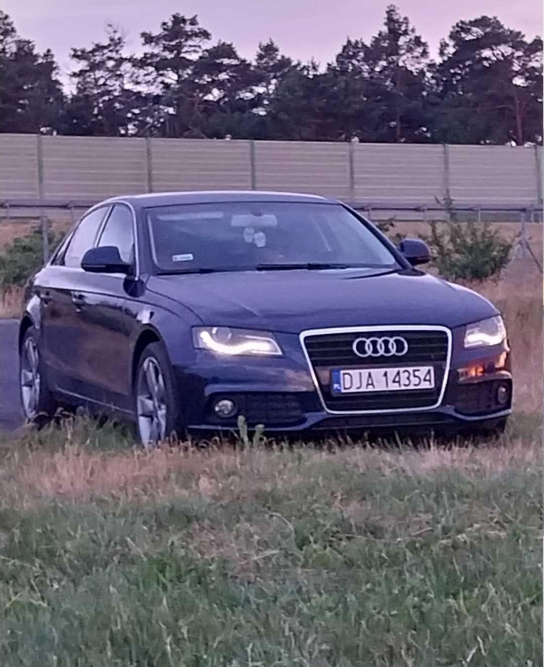 Brązowe skóry zadbana