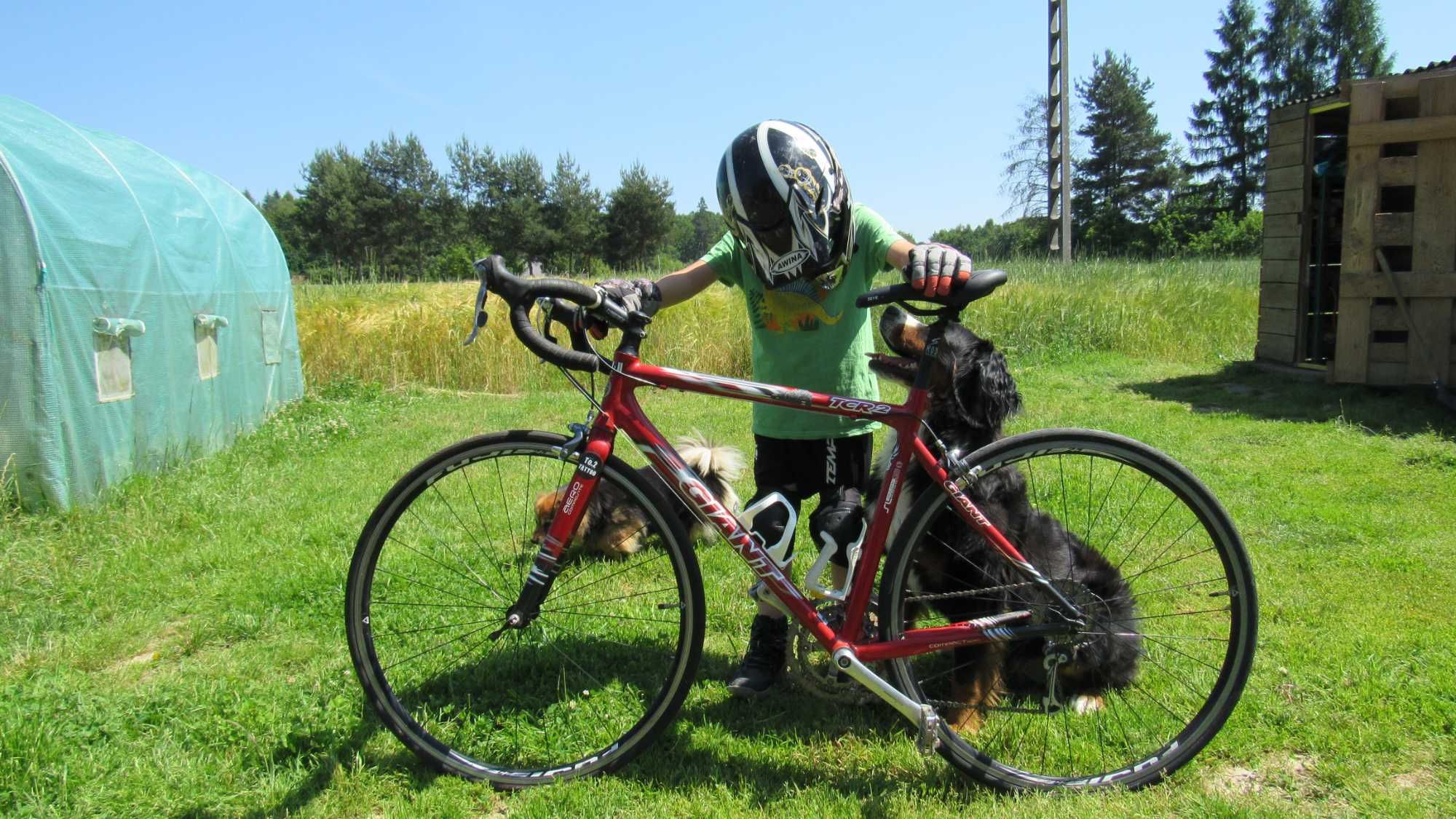 Kolarka Giant TCR 2 SL 6000