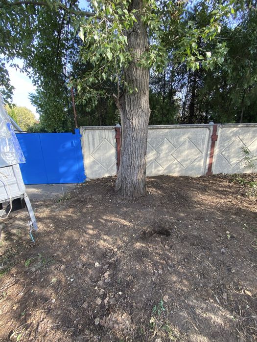 Вывоз веток , хлама , чистка квартир , обрезка деревьев, демонтаж .