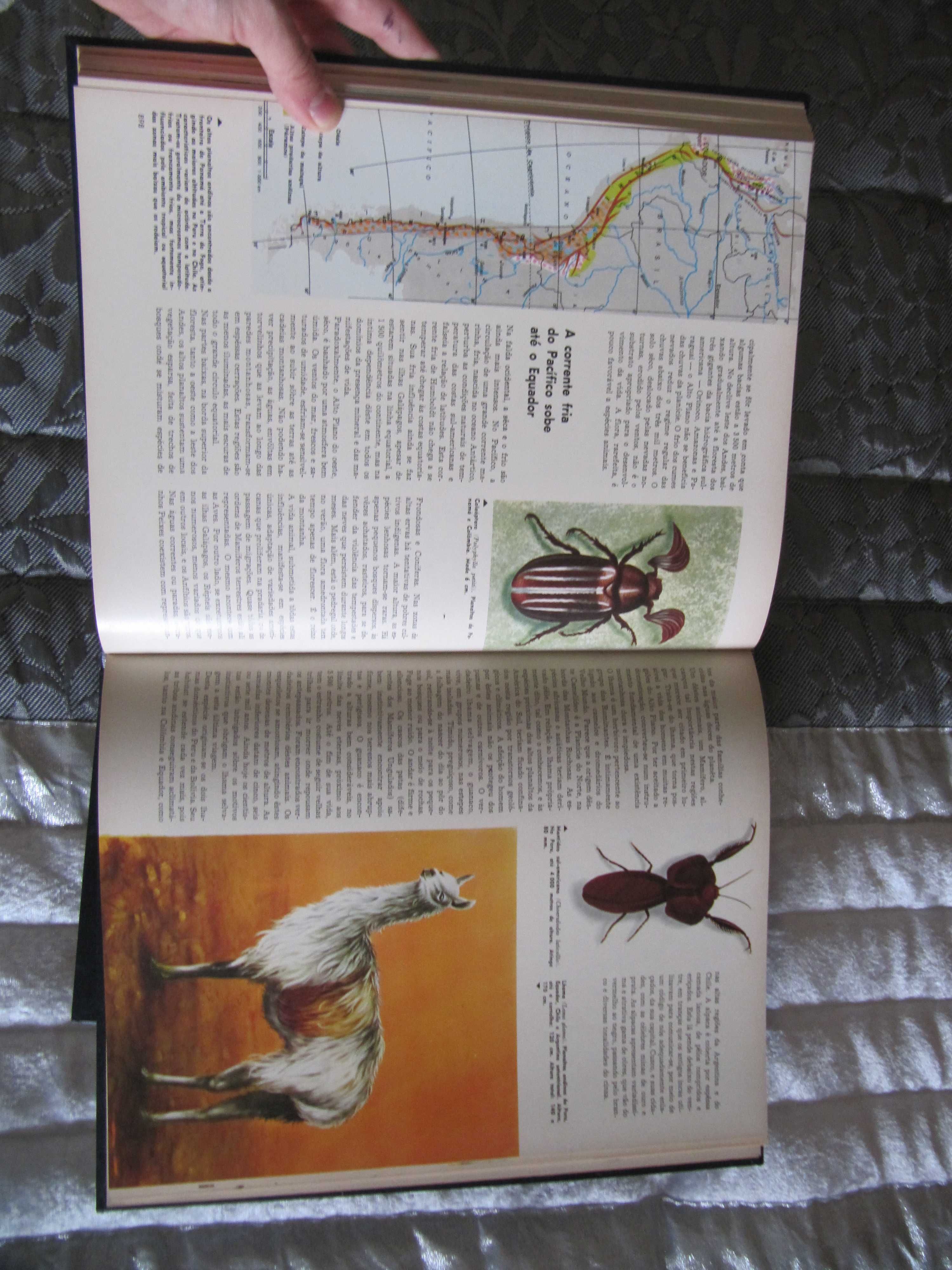 Enciclopédia- Fauna e Animais Selvagens-Alfa -Coleção COMPLETA 16 vols