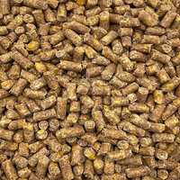 5kg Pellet kukurydza granulat zanętowy 4mm zanęta na karpia leszcz