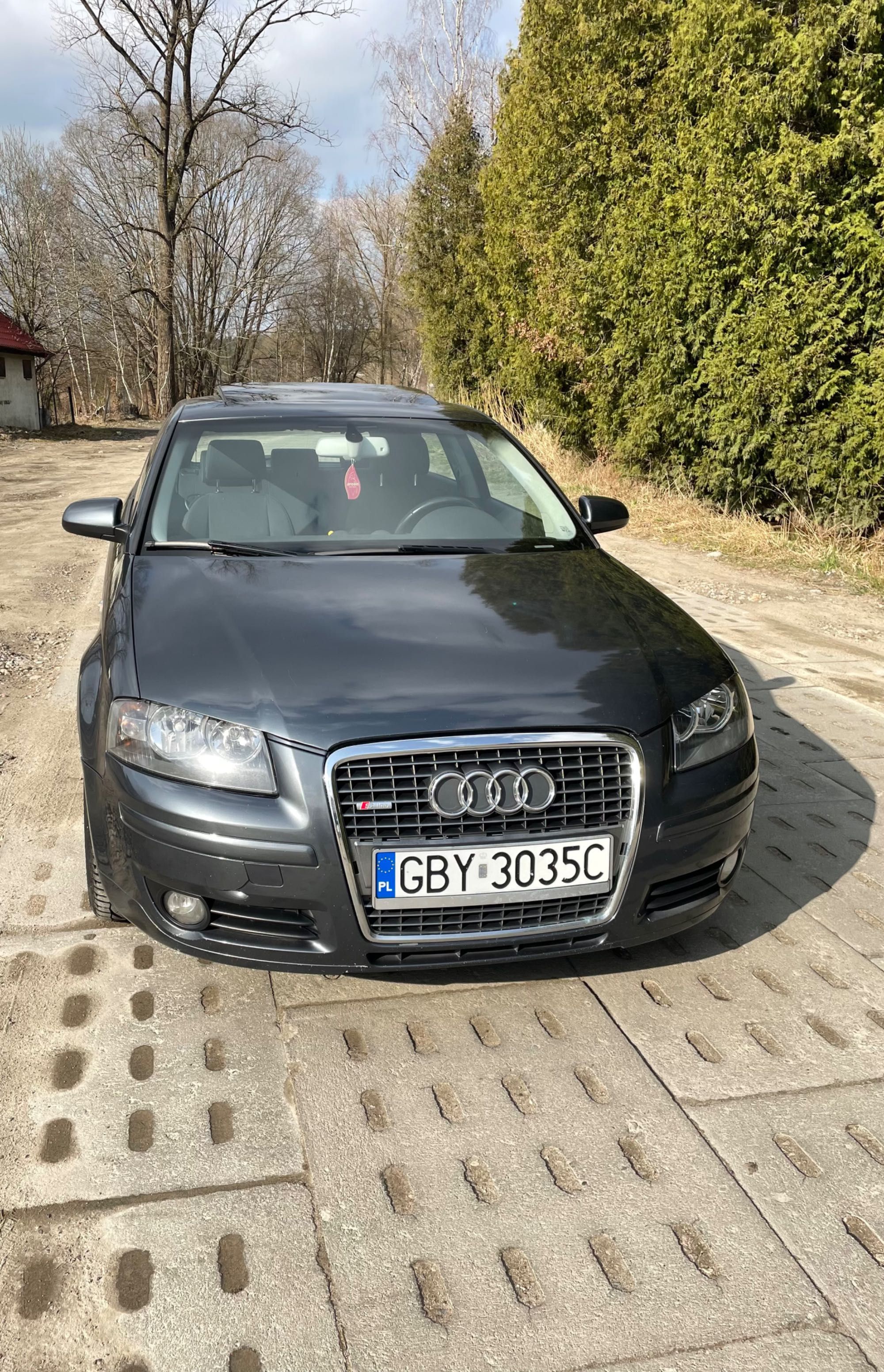 Audi a3 8p 2.0tdi