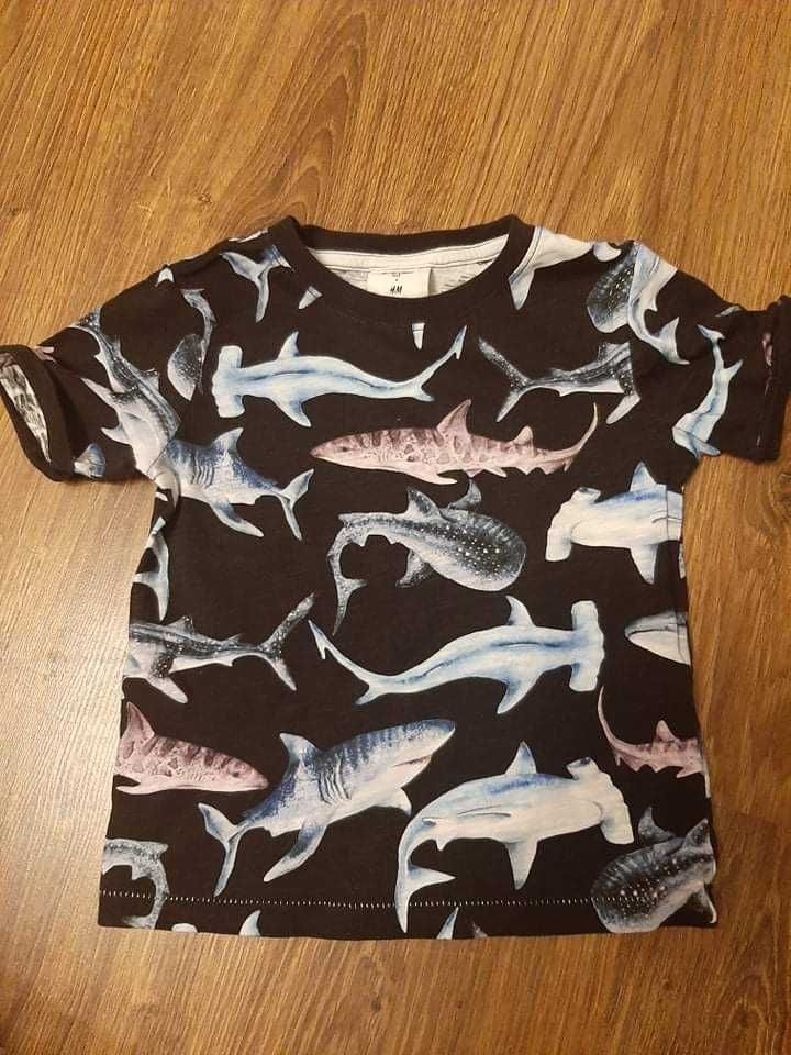 Koszulka H&M z rekinami