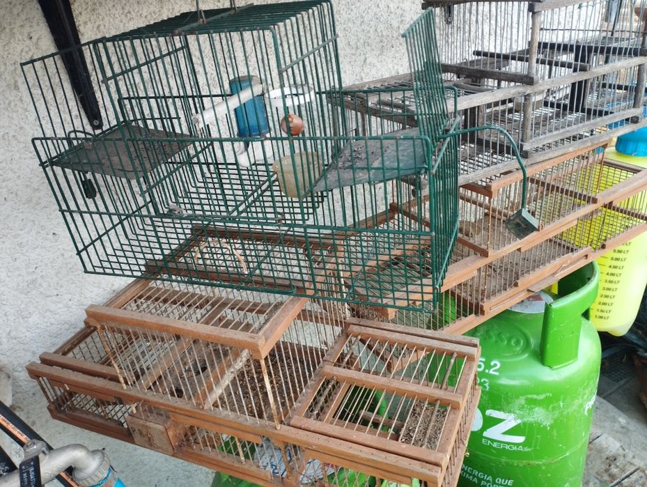 Alçapões normais e automáticos