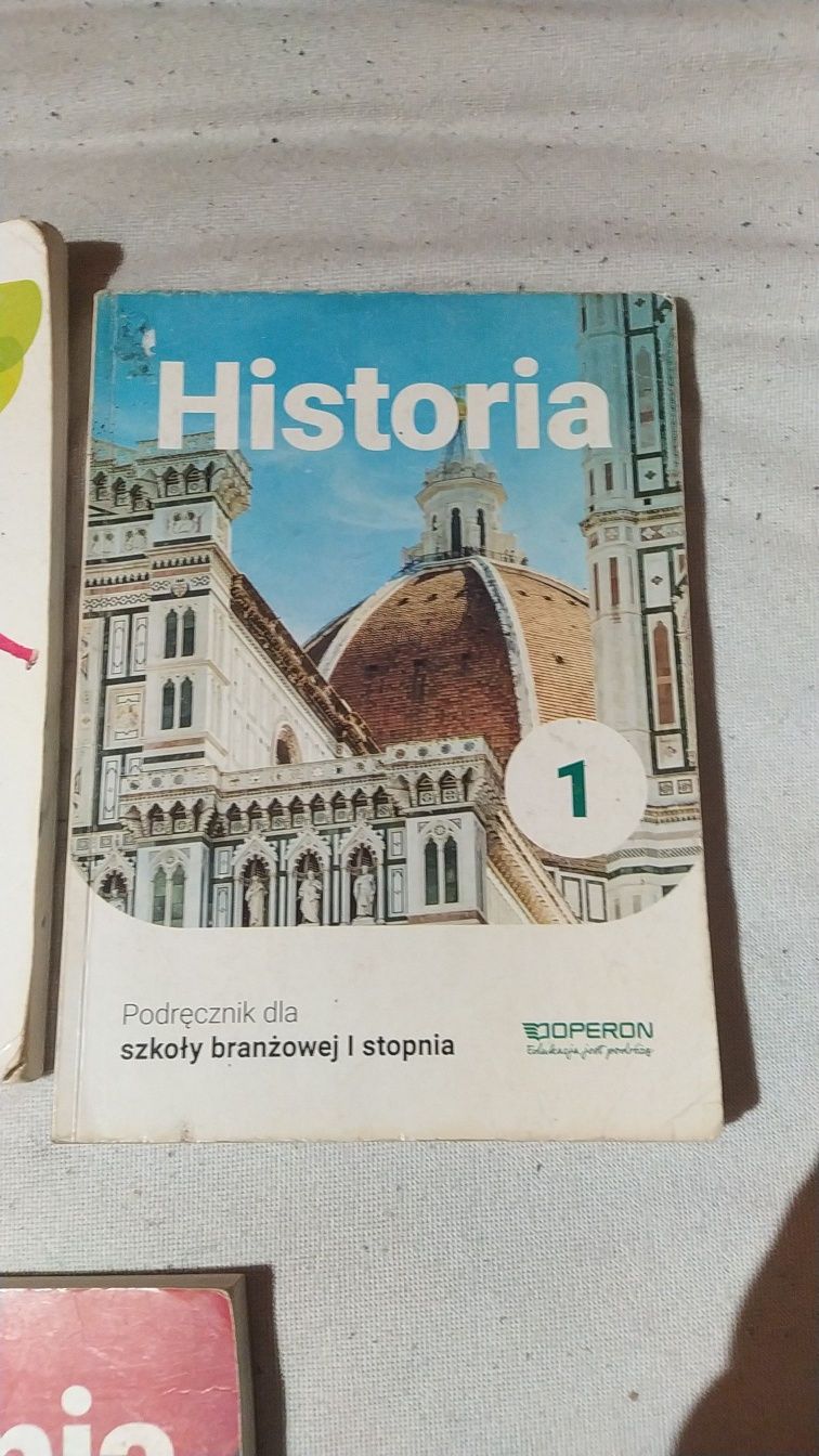 Podręczniki do klasy 1 branżowa