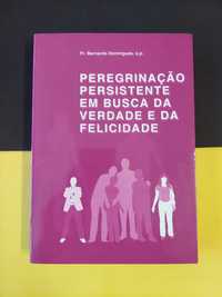 Peregrinação persistente em busca da verdade e da felicidade