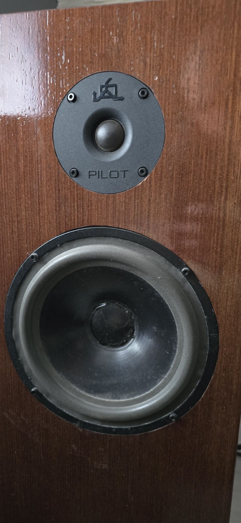 Kolumny  Snell acoustic modell E2   polecam dla koneserów