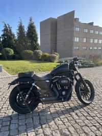 Harley Davidson 883 iron