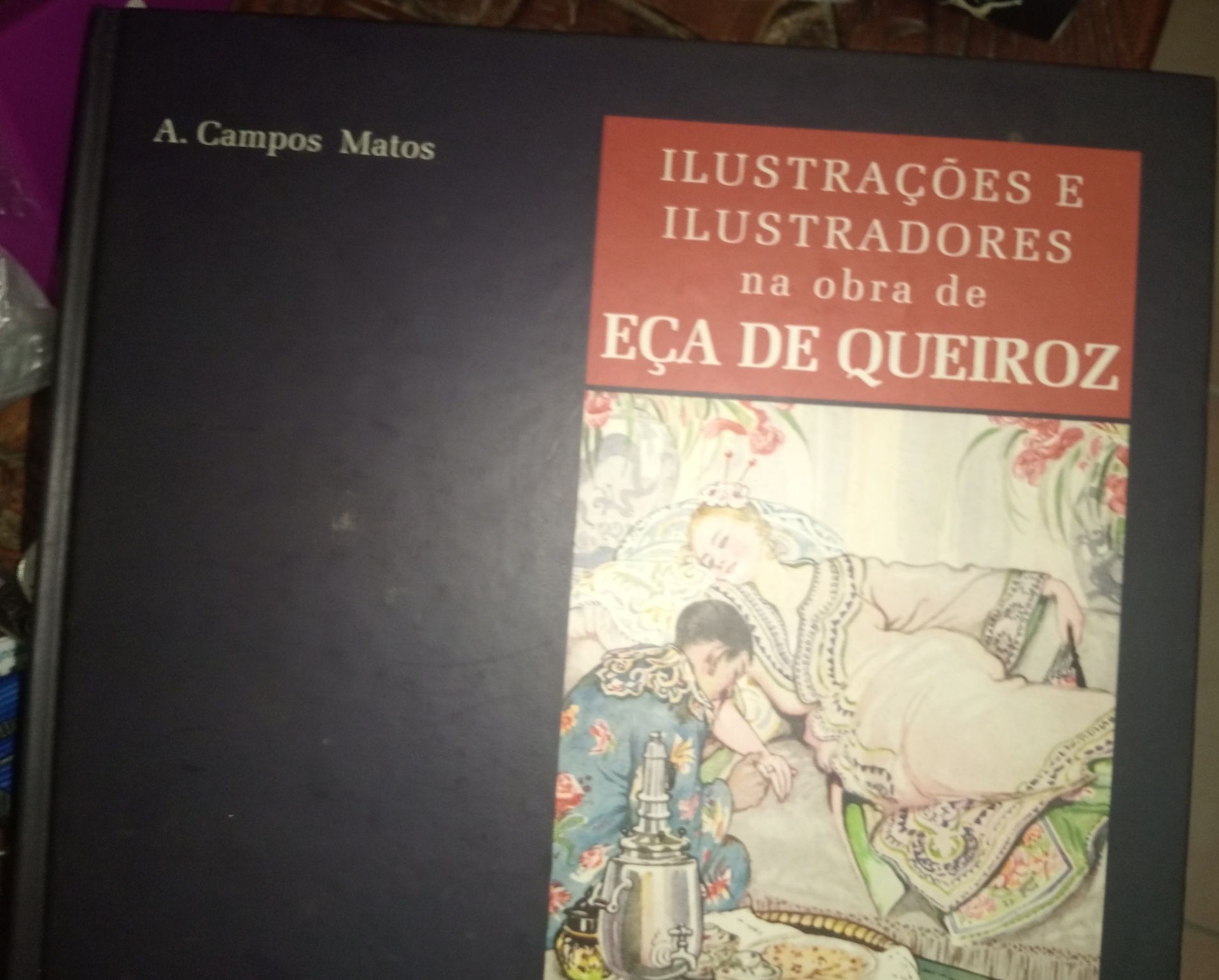Ilustrações e ilustradores na obra de Eça de Queirós A.Campos Matos