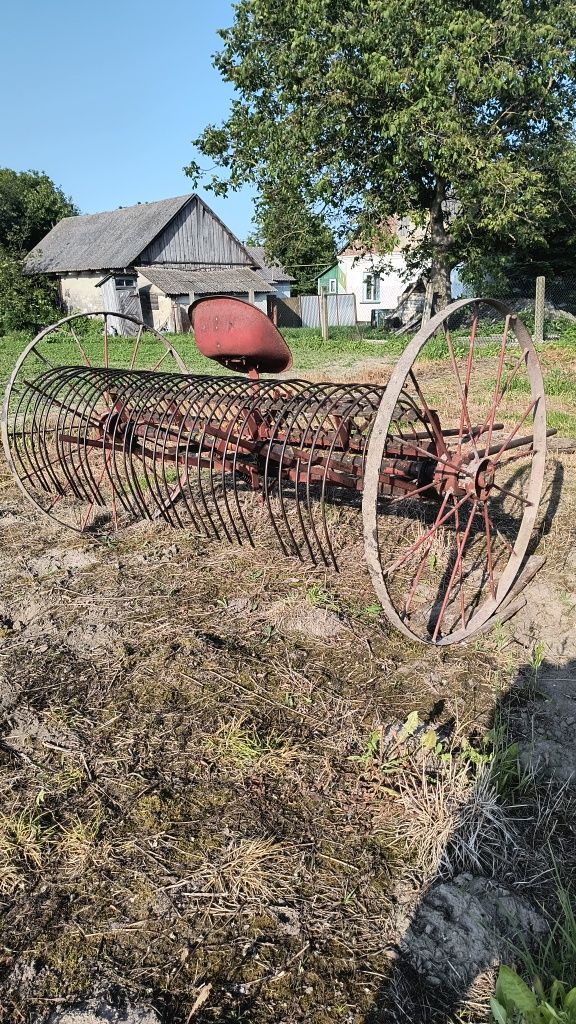 Грабарка кінна.              .