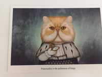Kolekcjonerka pocztówka z kotem kartka z kotkiem koci motyw kot