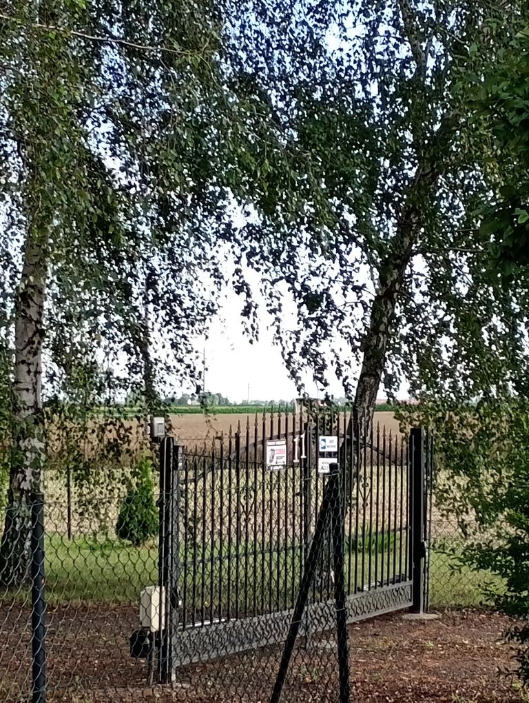 Dom wolnostojący