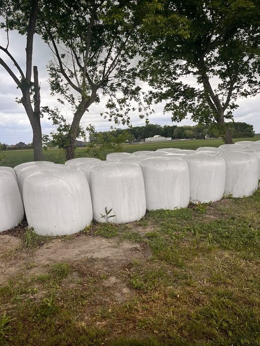 Sprzedam wysłodki buraczane