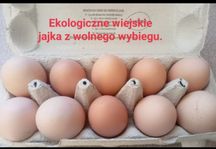 Jajka wiejskie ekologiczne z wolnego wybiegu
