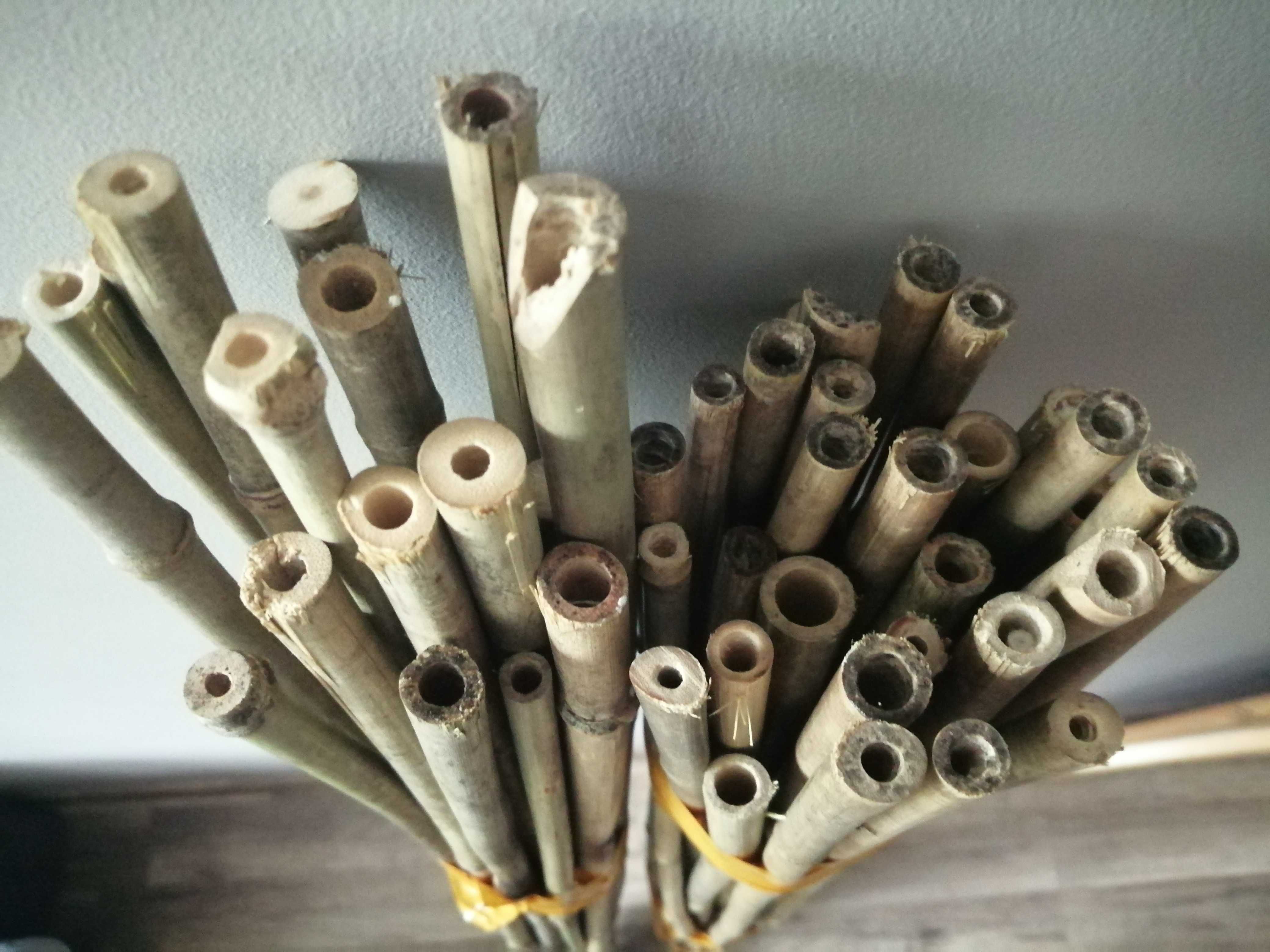 Tyczki do roślin kije bambusowe, podpórki,  50 szt tanio