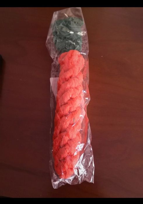 Brinquedo para cão