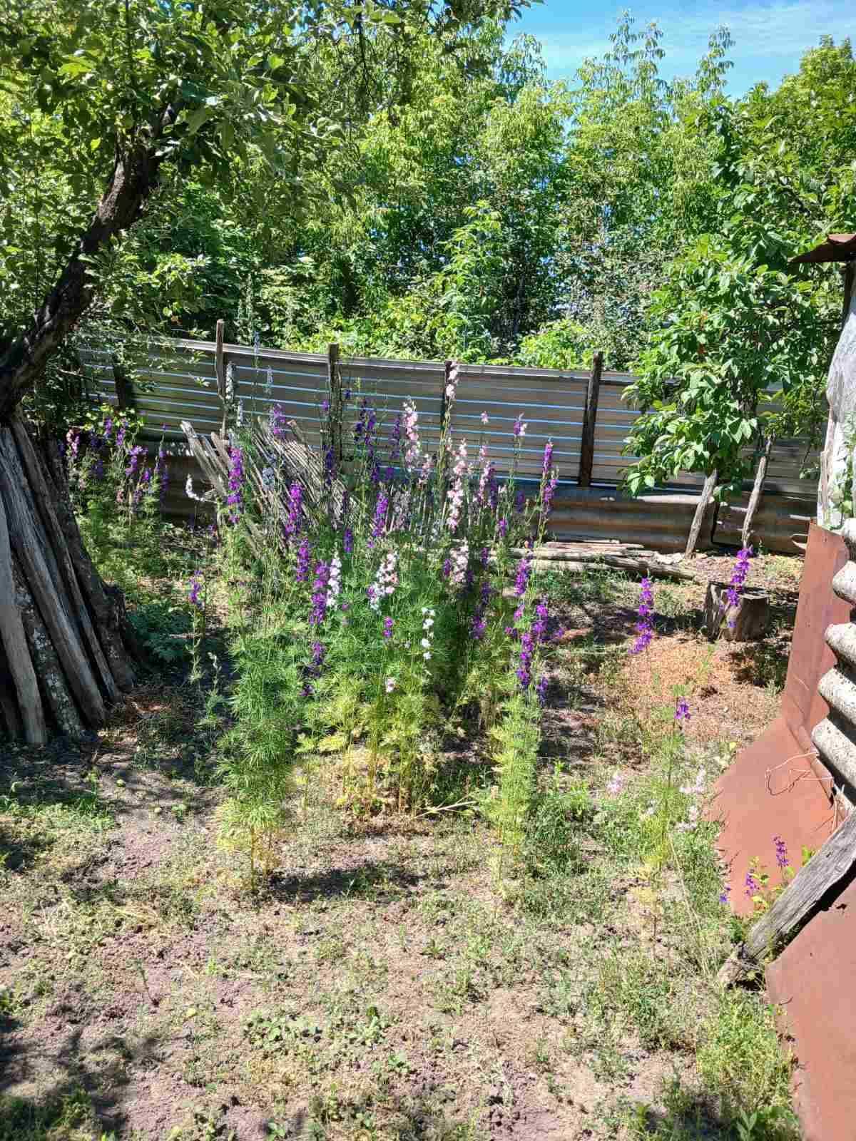 Продам батьківський будинок