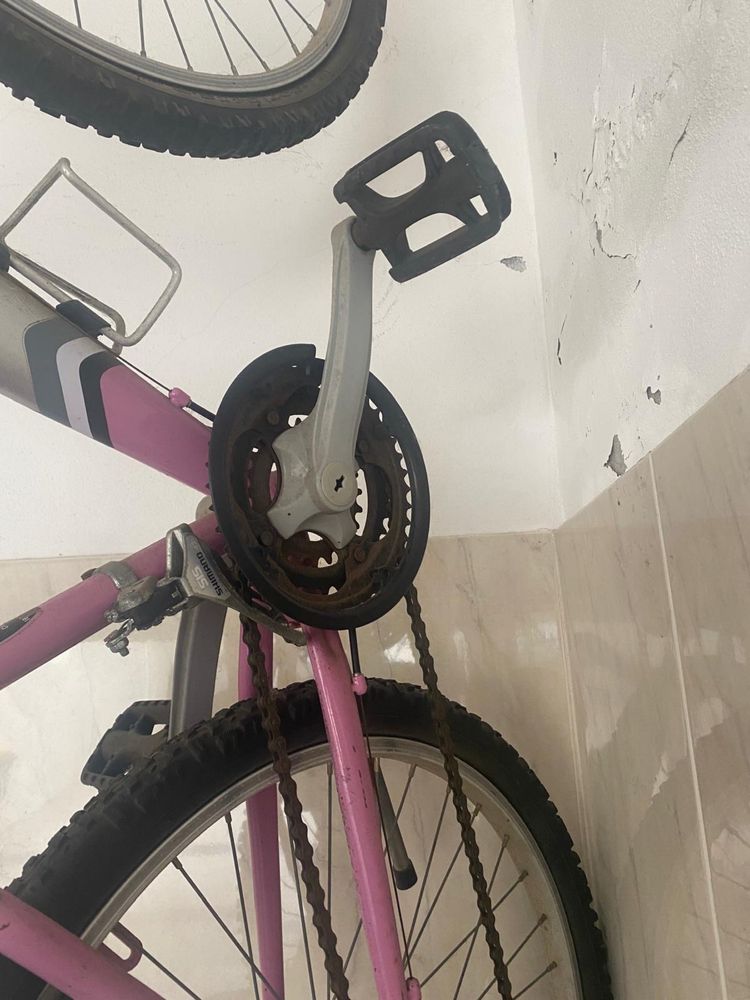 Bicicleta - Bicicletas Coelho