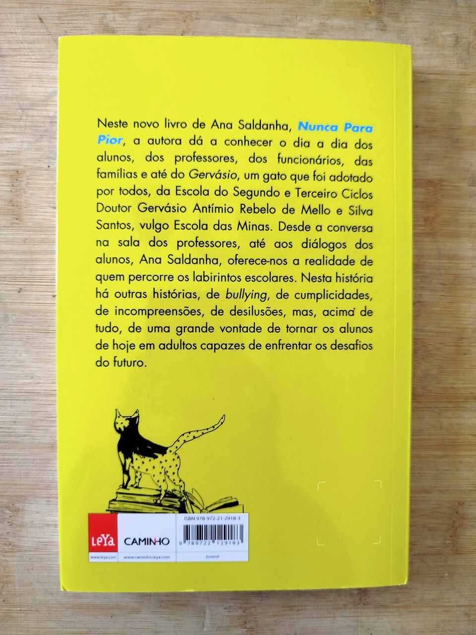 Nunca para Pior de Ana Saldanha