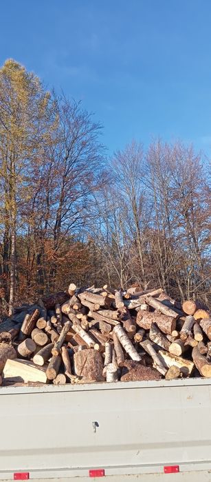 Drzewo opałowe sprzedam