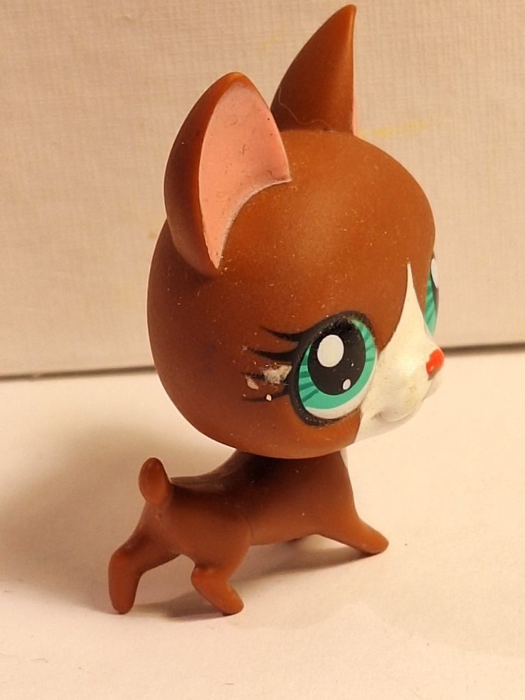 Figurka LPS #3174 chihuahua hide-and-sweet