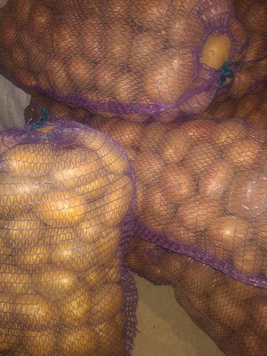 Продам картоплю з доставкою.