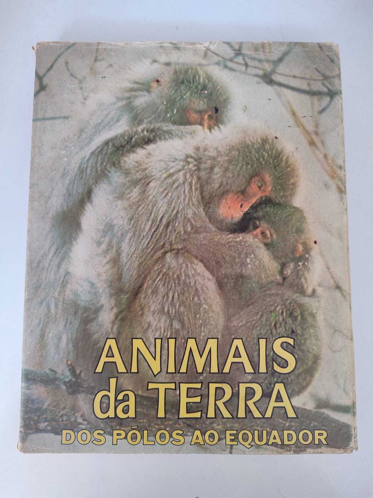 Livro - Animais da Terra dos Polos ao Equador (correio incluido)