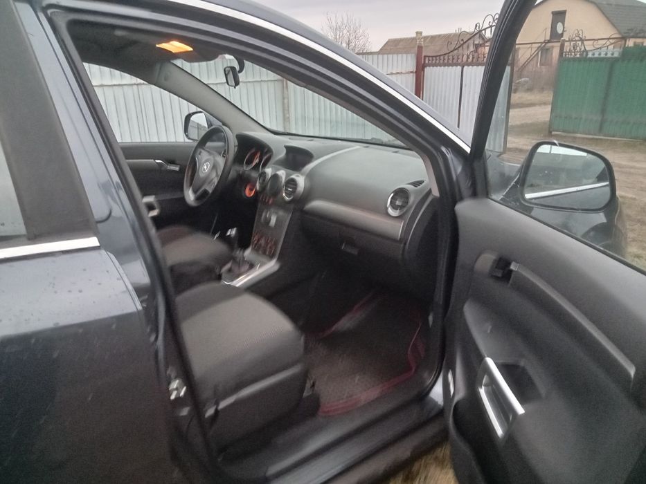 Свіжопригнана антара без підкрасів