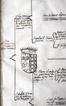 Enriquez Condes de Vila Flor 1628 árvore genealógica manuscrita rara