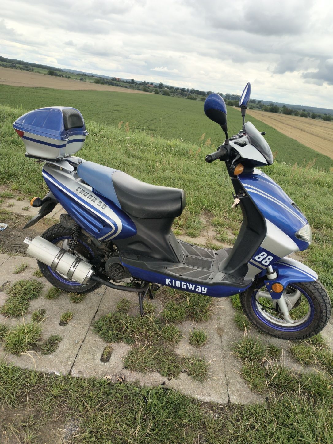 Kingway cobra 50