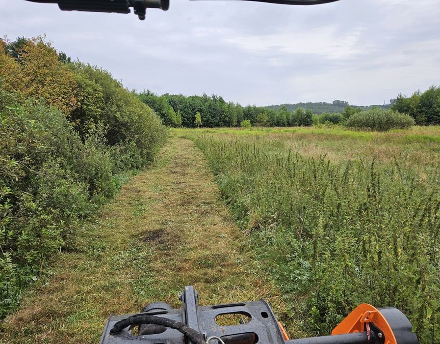 Mulczowanie łąk/nieużytków rolnych Samasz 280
