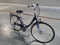 Holenderski rower miejski, Pegasus