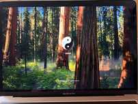 MacBook pro 13 16/256