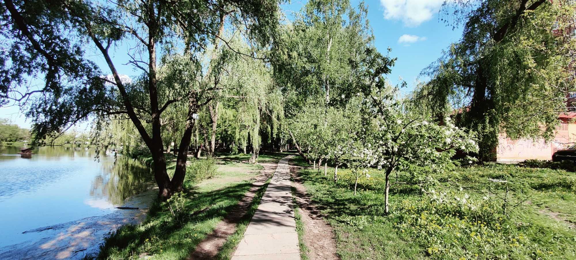 Здам приміщення/офіс Чабани Центр