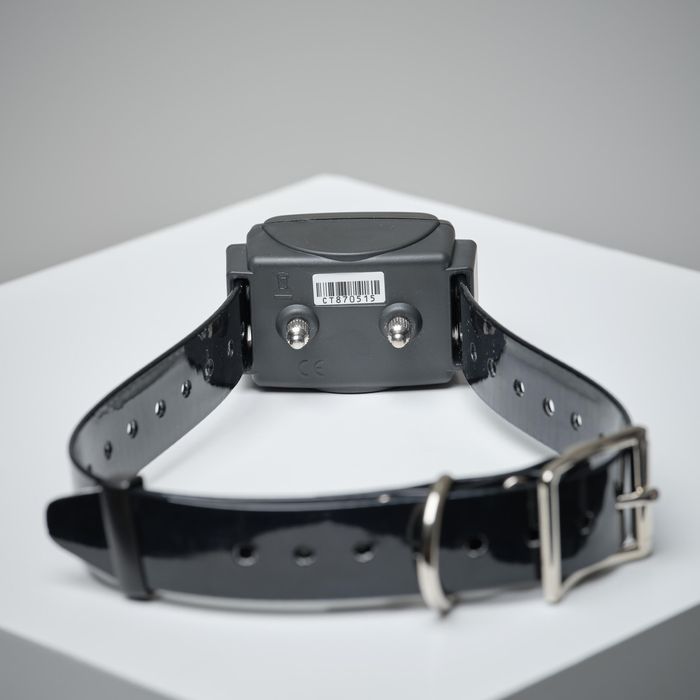 COLEIRA + TELECOMANDO DE ADESTRAMENTO PARA CÃO NUM'AXES