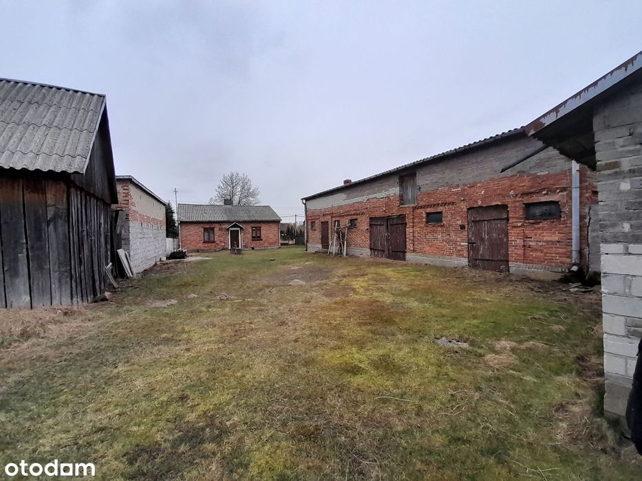 Siedlisko 1,12ha/z domem ok80m2 i budynkami gospod./gm.Wiązowna