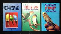 Волнистый попугайчик, Попугаи болезни и лечение, Лечим птицу сами
