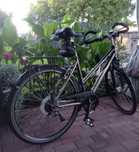 Rower damski ktm