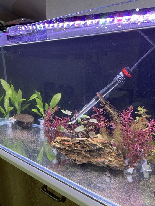 Aquário 160L (100x40x40)