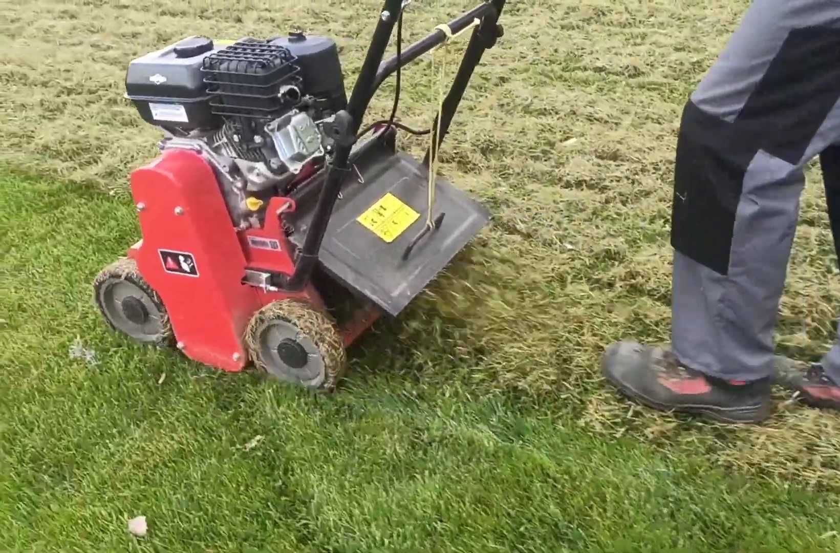 Profesjonalny mocny wertykulator Weibang do dużych powierzchni wynajem
