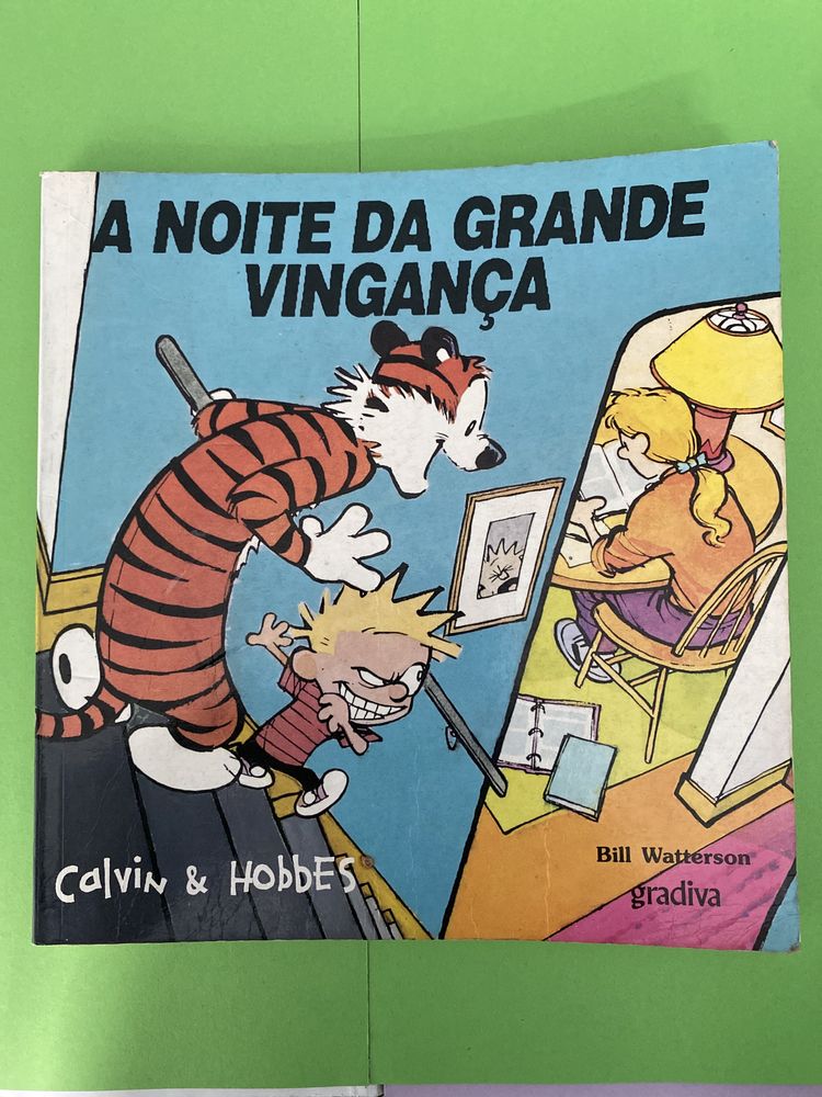 Livro banda desenhada Calvin & Hobbes 1993