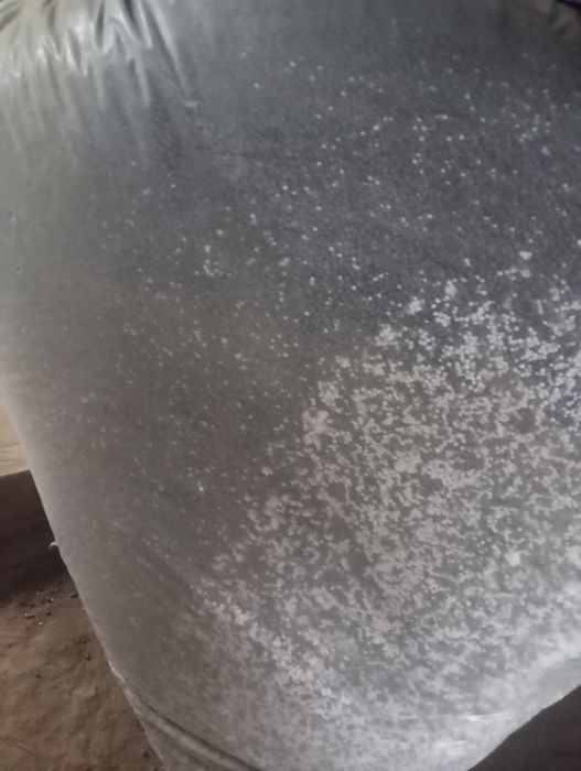 Granulat styropianowy kulki