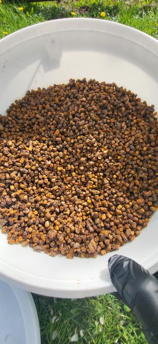 Pierzga pszczela 250 zl