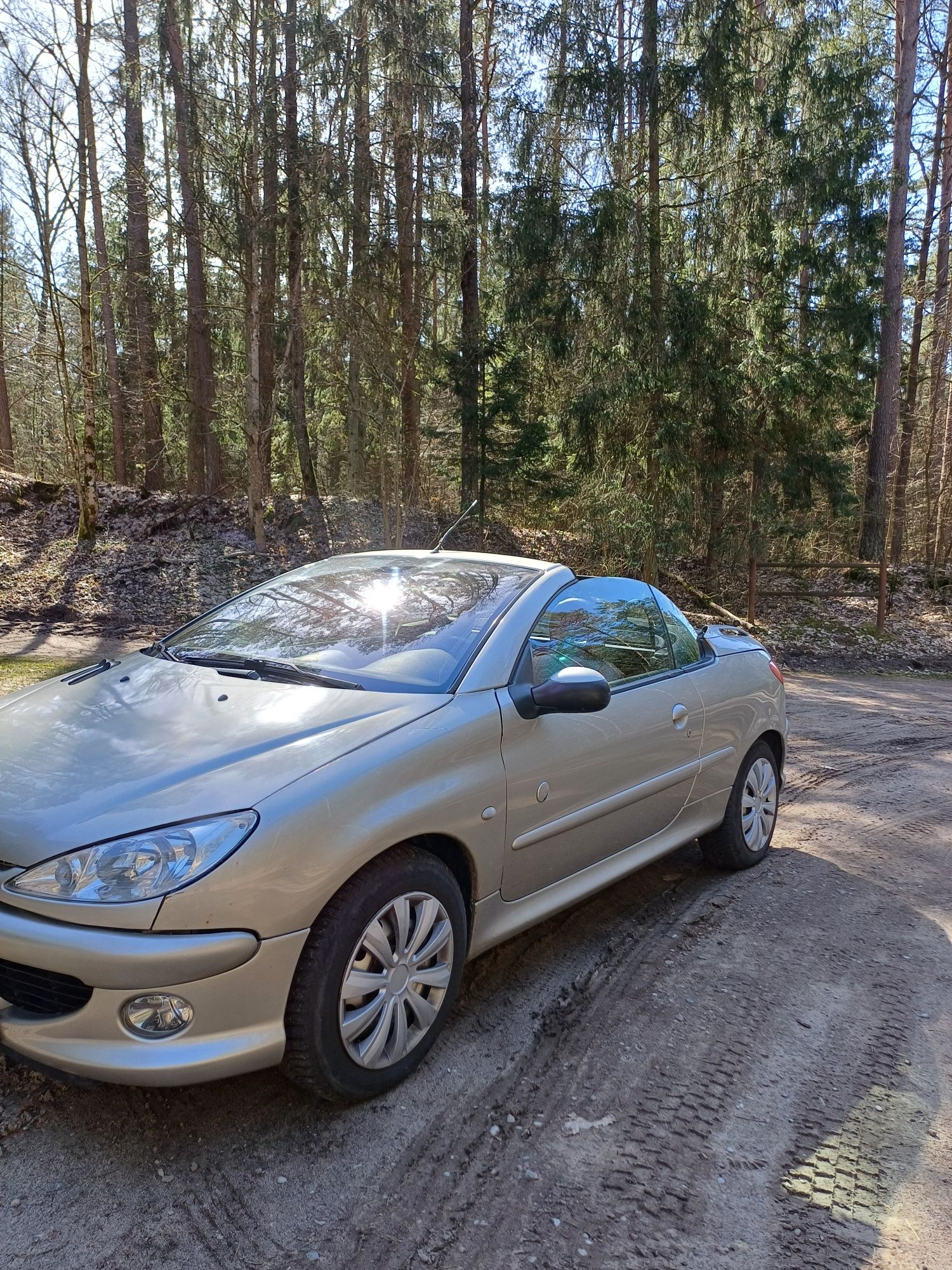 Peugeot 206CC cabrio